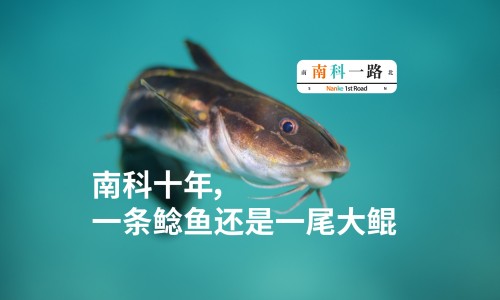 莲子和莲子心的药用区别在哪-莲子和莲子心的药用区别网- 莲子跟莲子心功效一样吗知识,分享莲子心还是莲子心