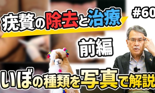 莲子和莲心的功效与作用-莲子和莲子心的药用区别网- 莲子跟莲子心功效一样吗知识,分享莲子心还是莲子心